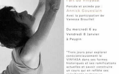 Post formation : l&rsquo;art du Vinyasa avec Annick Goueslain